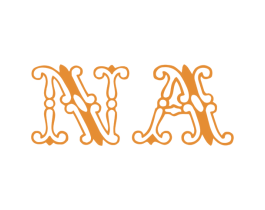 NA 商标图样