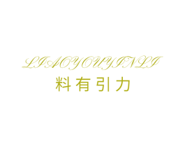 料有引力 商标图样