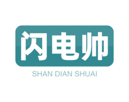 闪电帅 商标图样