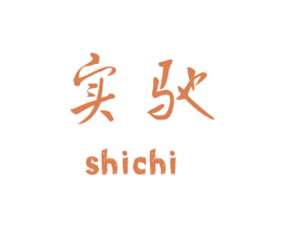实驰 商标图样