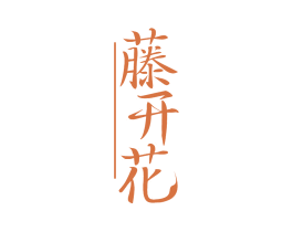 藤开花 商标图样