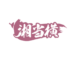 湘当横 商标图样