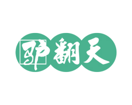 驴翻天 商标图样