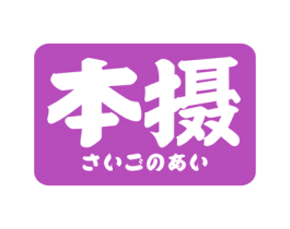 本摄 商标图样