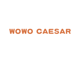 WOWO CAESAR 商标图样