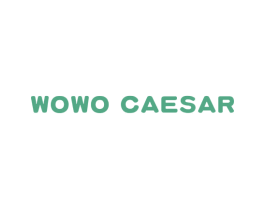 WOWO CAESAR 商标图样