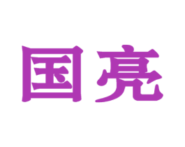 国亮 商标图样