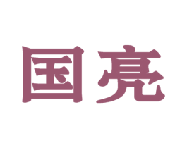 国亮 商标图样