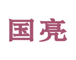 国亮 商标图样