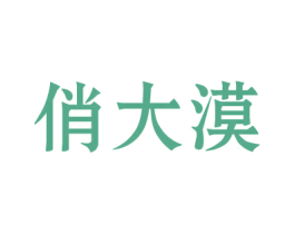 俏大漠 商标图样