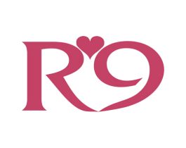 R9 商标图样
