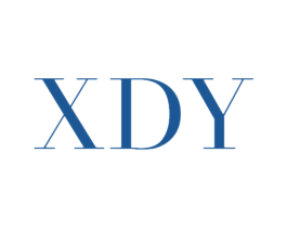 XDY 商标图样