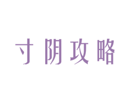 寸阴攻略 商标图样