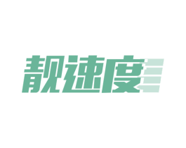 靓速度 商标图样