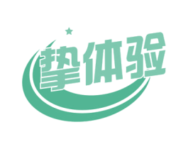 挚体验 商标图样