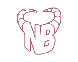 NB 商标图样