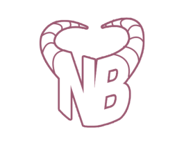 NB 商标图样