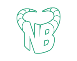 NB 商标图样