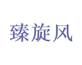 臻旋风 商标图样