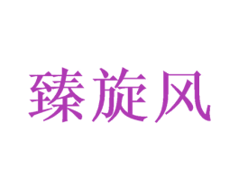 臻旋风 商标图样