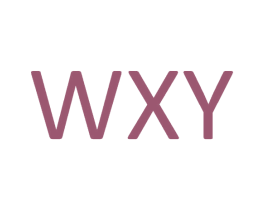 WXY 商标图样