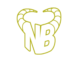 NB 商标图样