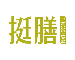 挺膳 商标图样
