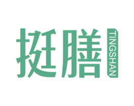 挺膳 商标图样