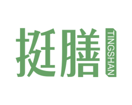 挺膳 商标图样