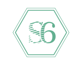 S6 商标图样