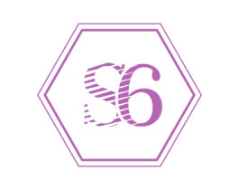 S6 商标图样