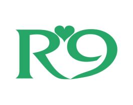 R9 商标图样