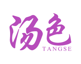 汤色 商标图样