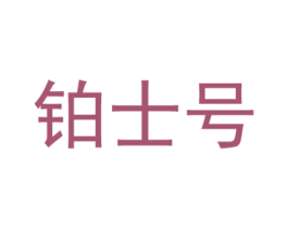 铂士号 商标图样