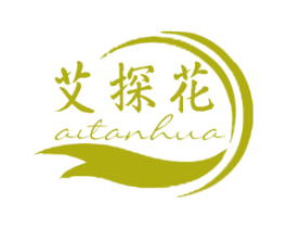 艾探花 商标图样
