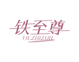 铁至尊 商标图样