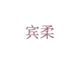 宾柔 商标图样