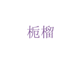 栀榴 商标图样