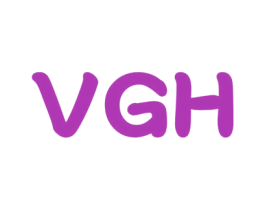 VGH 商标图样