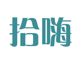 拾嗨 商标图样