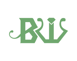 BW 商标图样