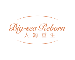 BIG-SEA REBORN 大海重生 商标图样