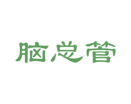 脑总管 商标图样