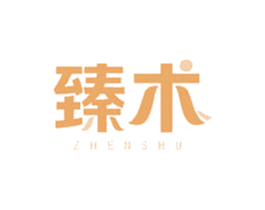 臻术 商标图样