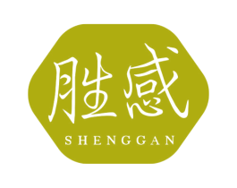 胜感 商标图样