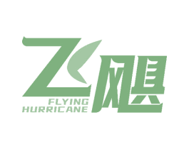 飞飓 FLYING HURRICANE 商标图样