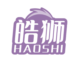 皓狮 商标图样