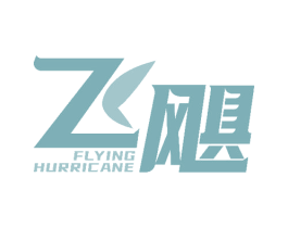 飞飓 FLYING HURRICANE 商标图样