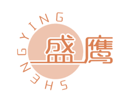盛鹰 商标图样