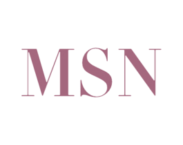 MSN 商标图样
